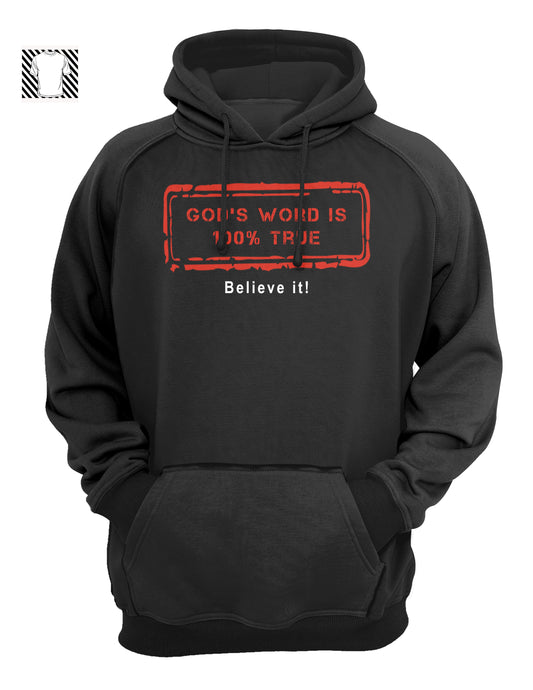 God's word is 100% True - Hoody